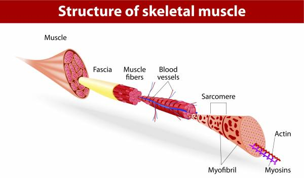 All About Trigger Points